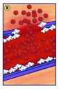 card-10.jpg