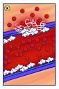 card-14.jpg