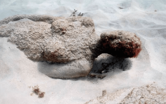 woman in her sandysheets
