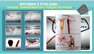 Desenhos por crianças entre 7 e 10 anos, realizados em grupo. Tema : machucados e efeito do fator de coagulação